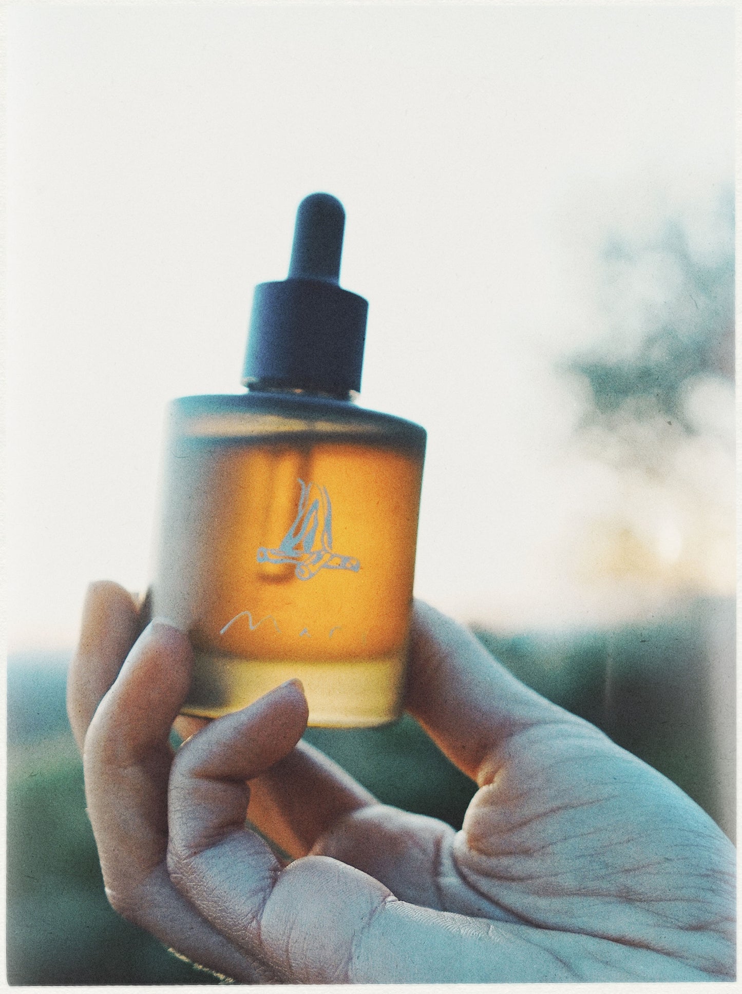 st. lucia all-over oil